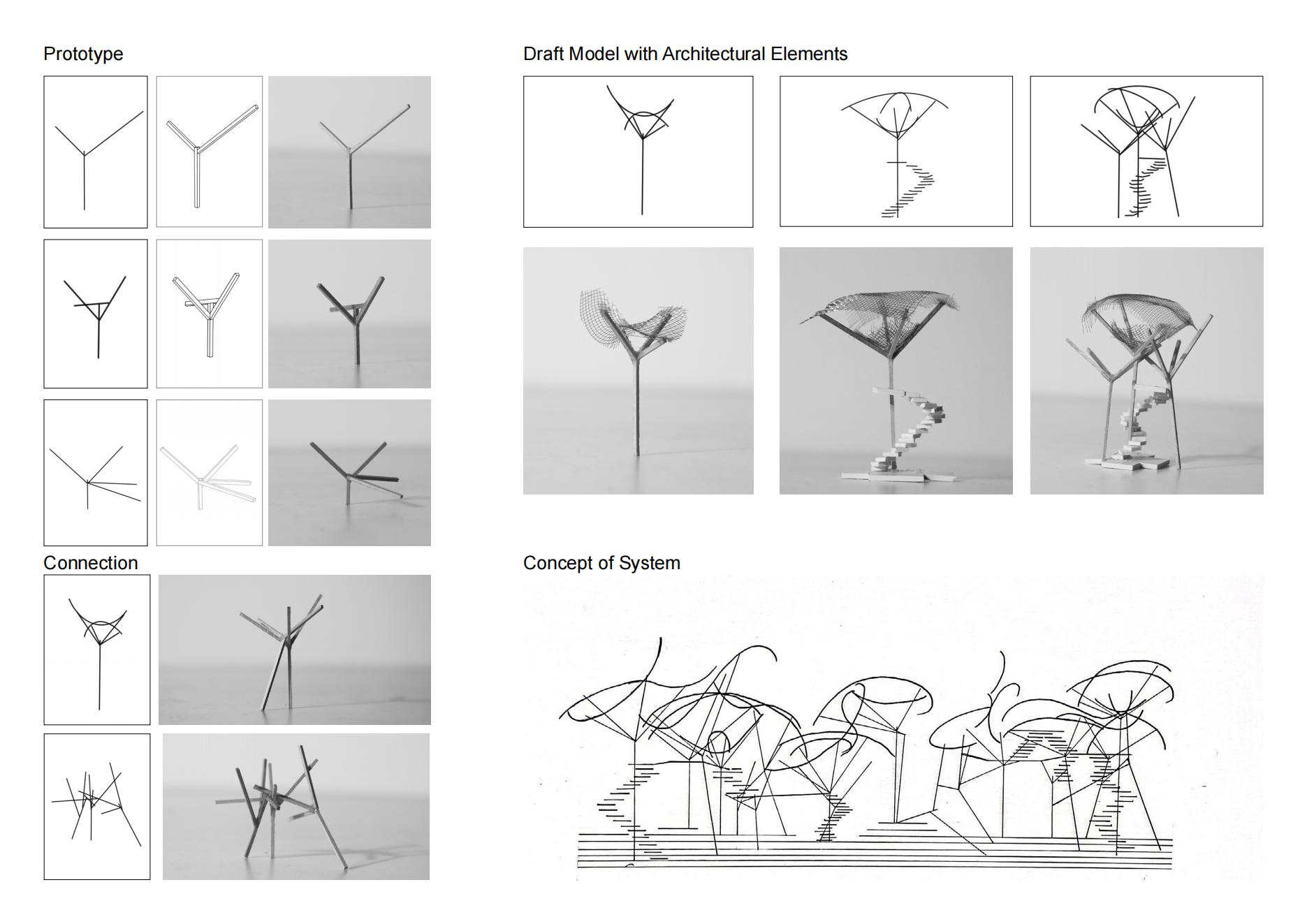 Architectural Design Process